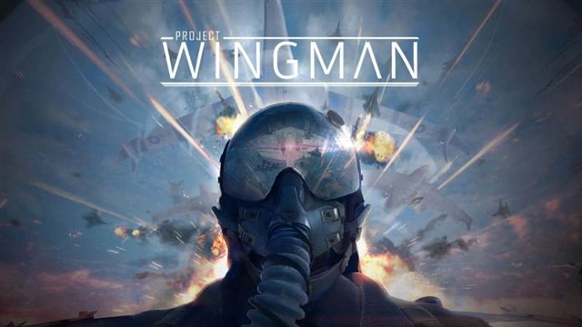 Project Wingman v2.1.1A-P2P