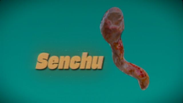 Senchu-TENOKE