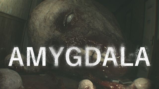 Amygdala Enhanced-SKIDROW