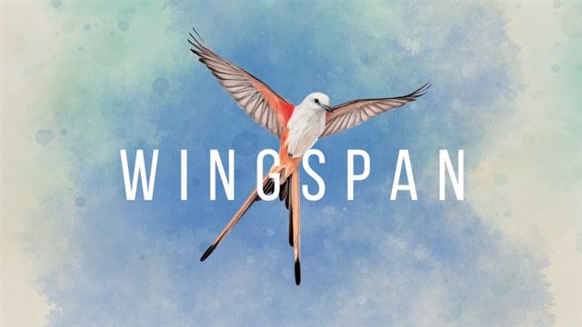 Wingspan Seasonal Decorative Pack 2-TENOKE